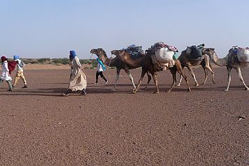 Desert Erg Bozian Erg Izana