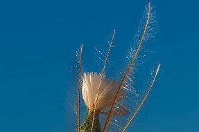 PERRIERE-OUZBEKISTAN_17969-Dx null