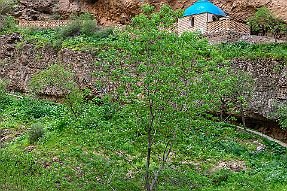 PERRIERE-OUZBEKISTAN_13729-Dx null