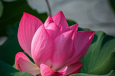 Chine_Moxalain_PERRIERE_10606 null