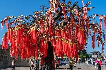 Chine_Moxalain_PERRIERE_11699 null