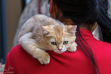 Chine_Moxalain_PERRIERE_20270 null