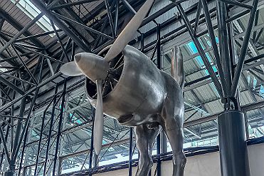 20260202_140627 null