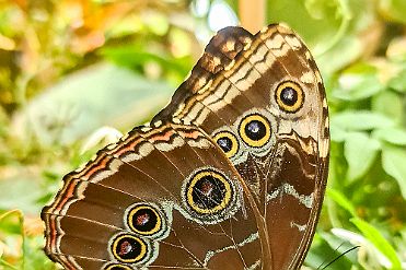 20260206_104617 null