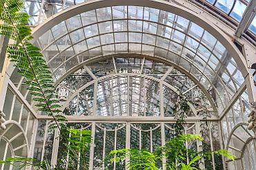 20260206_104951 null