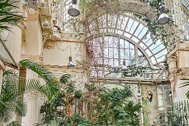 20260206_110056 null