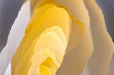 20260206_123641 null