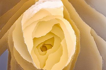 20260206_123716 null