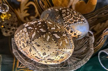 20260209_180550 null