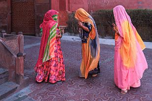 INDB3395_modnew null