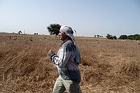 Senegal complet 221 U p'tit footing à côté de la charette, nous partons à Sokone, le grand marché local