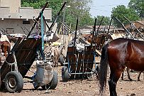 Senegal complet 228