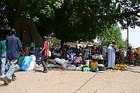 Senegal complet 230