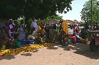 Senegal complet 231