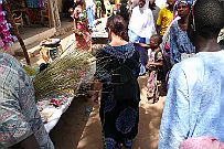 Senegal complet 234