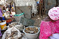 Senegal complet 236