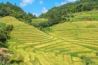 Chine_Moxalain_PERRIERE_20291 null