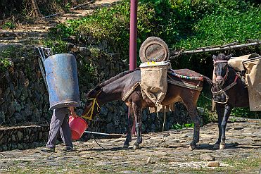 Chine_Moxalain_PERRIERE_20461 null