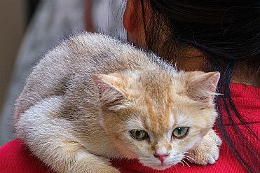 Moxalain_PERRIERE_20270 (2) null