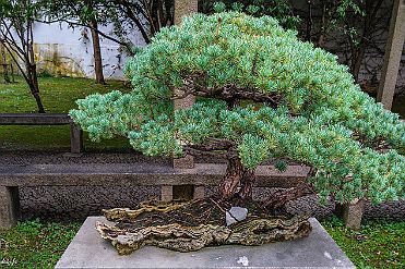 Chine_Moxalain_PERRIERE_19829 null