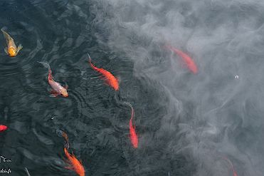 Chine_Moxalain_PERRIERE_21624 null