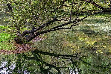 Chine_Moxalain_PERRIERE_21815 null