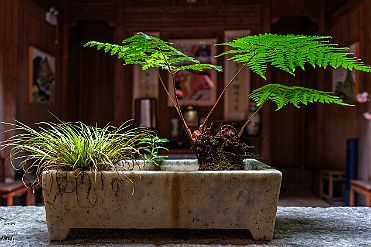 Chine_Moxalain_PERRIERE_10489 null