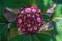 PB014146
