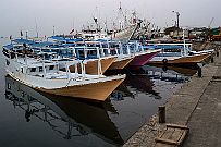 PA230068