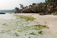 PA240159 De belles plages blanches et désertes. Nous arrivons un peu tard, la lumière baisse déja.