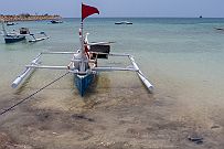 PA250764