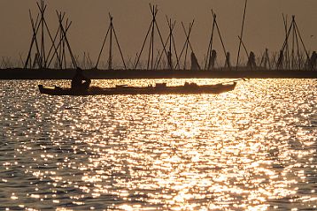 Sinkang au lac Tempe