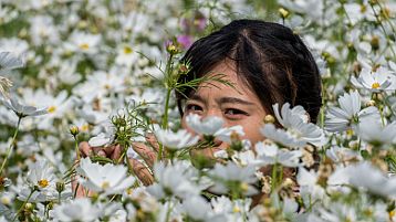 Taichung Houli Flower