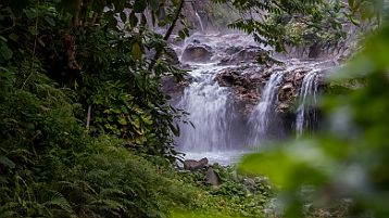 Beitou Guandu