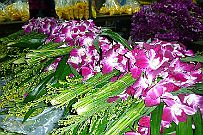 Thailande_D_Marche_Fleurs_009