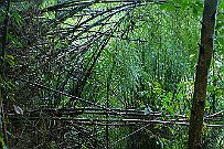 Thailande_H_Trek_017