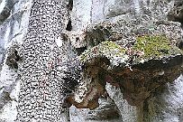 Thailande_H_Trek_024