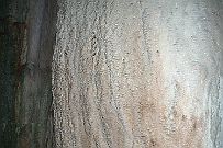 Thailande_H_Trek_031