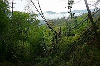 Thailande_H_Trek_040