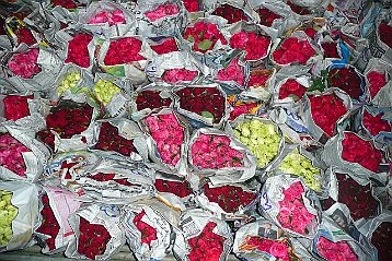 Marché aux fleurs