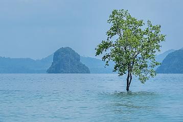 Khlong Muang Beach