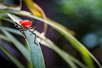 03 - DSCF0307 (2) null