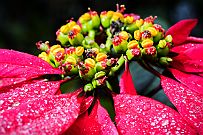 05 - DSCF1020 (2) null