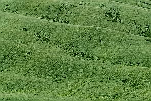 Toscane Perriere T 1146