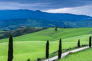 Toscane Perriere T 1290-Modifier