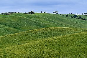 Toscane Perriere T 1340-RAF_DxO_DeepPRIMEXD