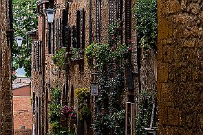 Toscane Perriere T 1354-RAF_DxO_DeepPRIMEXD-Modifier