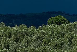 Toscane Perriere T 1945-HDR