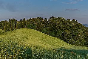 Toscane Perriere T 1776-Modifier Il est là, au sommet de cette colline dans la brume du matin.