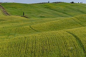 Toscane Perriere T 1582